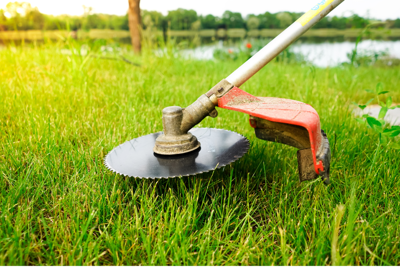 Summer Lawn Care Essentials Keeping Your Grass Green and Healthy